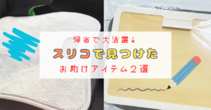 ３COINSで見つけたおすすめ商品を紹介するアイキャッチ画像。お絵描きバッグとチャイルドシート用防水パッドの写真が載っている