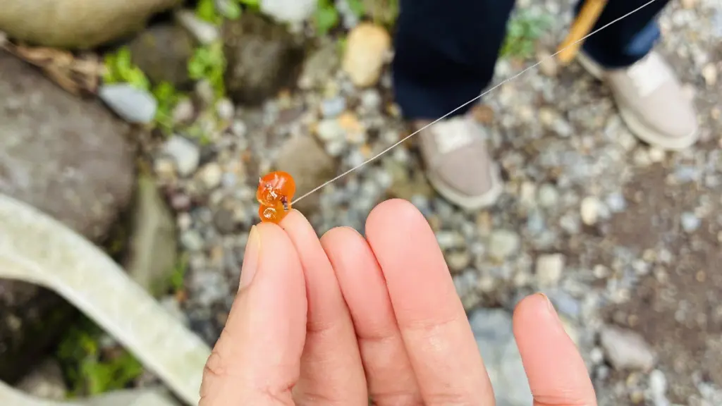 釣り用のイクラ（餌）をつぶれないように釣り針に２つつけている様子。ニジマス釣りに使うイクラ。