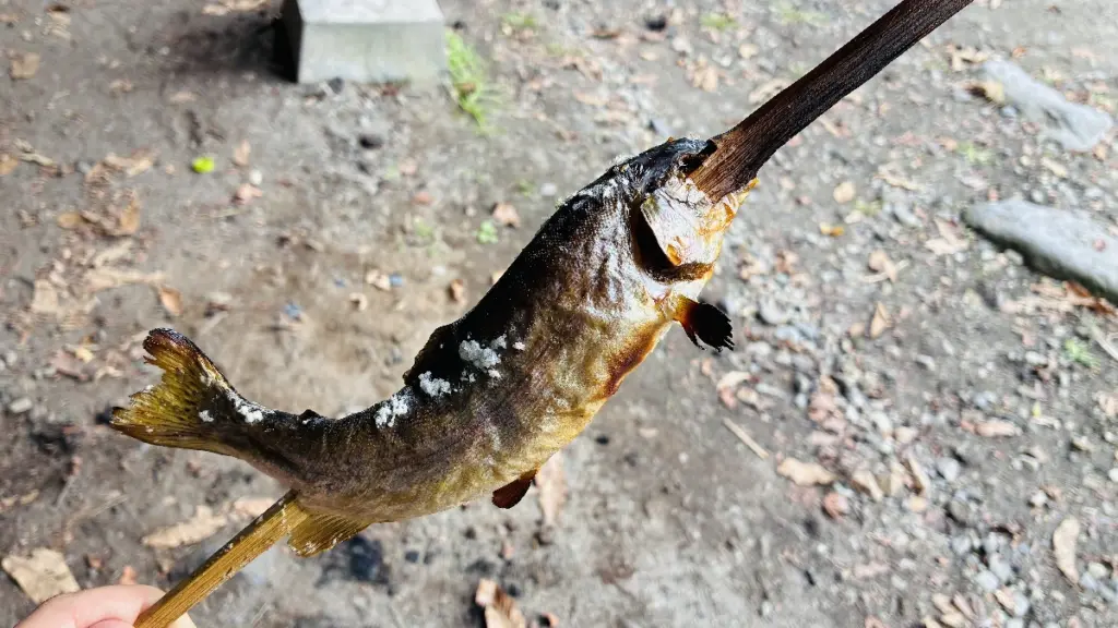 焼き上がったニジマスの塩焼きを手に持ち、外の明るい釣り場で撮影した様子。