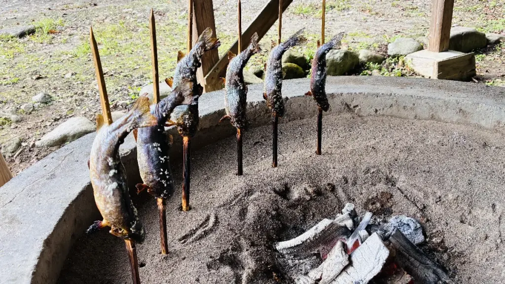 囲炉裏で焼きあがったニジマスが並んでいる写真、脂が落ち食べ頃になるまで待っている状態。別角度から撮影。