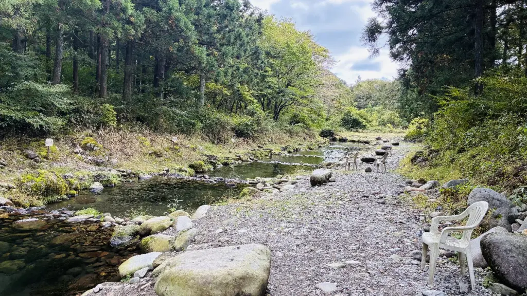 一本杉渓流魚センターの川沿いに広がる釣り場の風景。木々に囲まれた自然豊かな渓流と椅子が置かれた河原の様子。