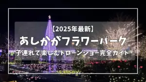 あしかがフラワーパークイルミネーション アイキャッチ画像 2025最新 子連れで楽しむ完全ガイド