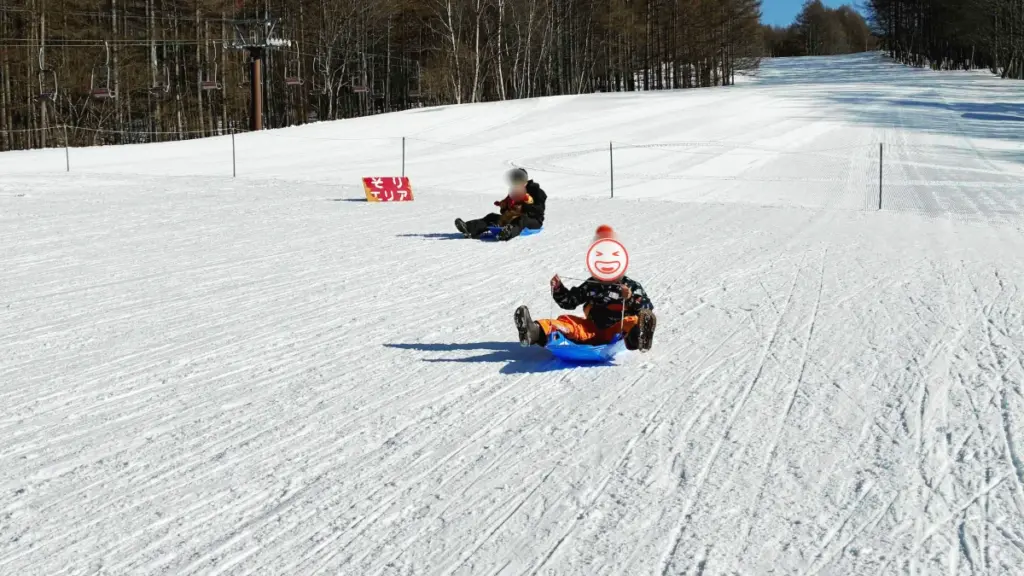 広々とした「そりエリア」で、青いソリに乗って笑顔で滑り降りてくる子供の写真。