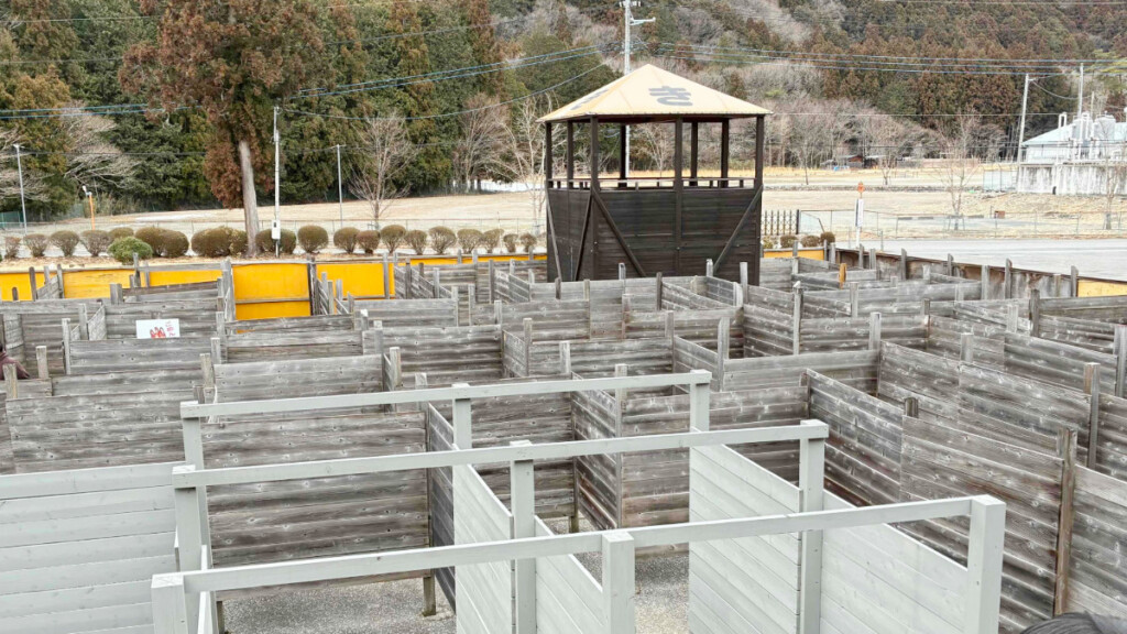 巨大迷路パラディアムの展望台と迷路エリア