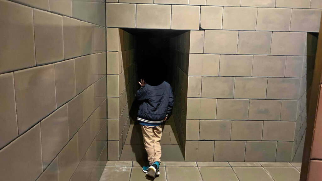 巨大迷路の通路を進む子ども(とりっくあーとぴあ日光)