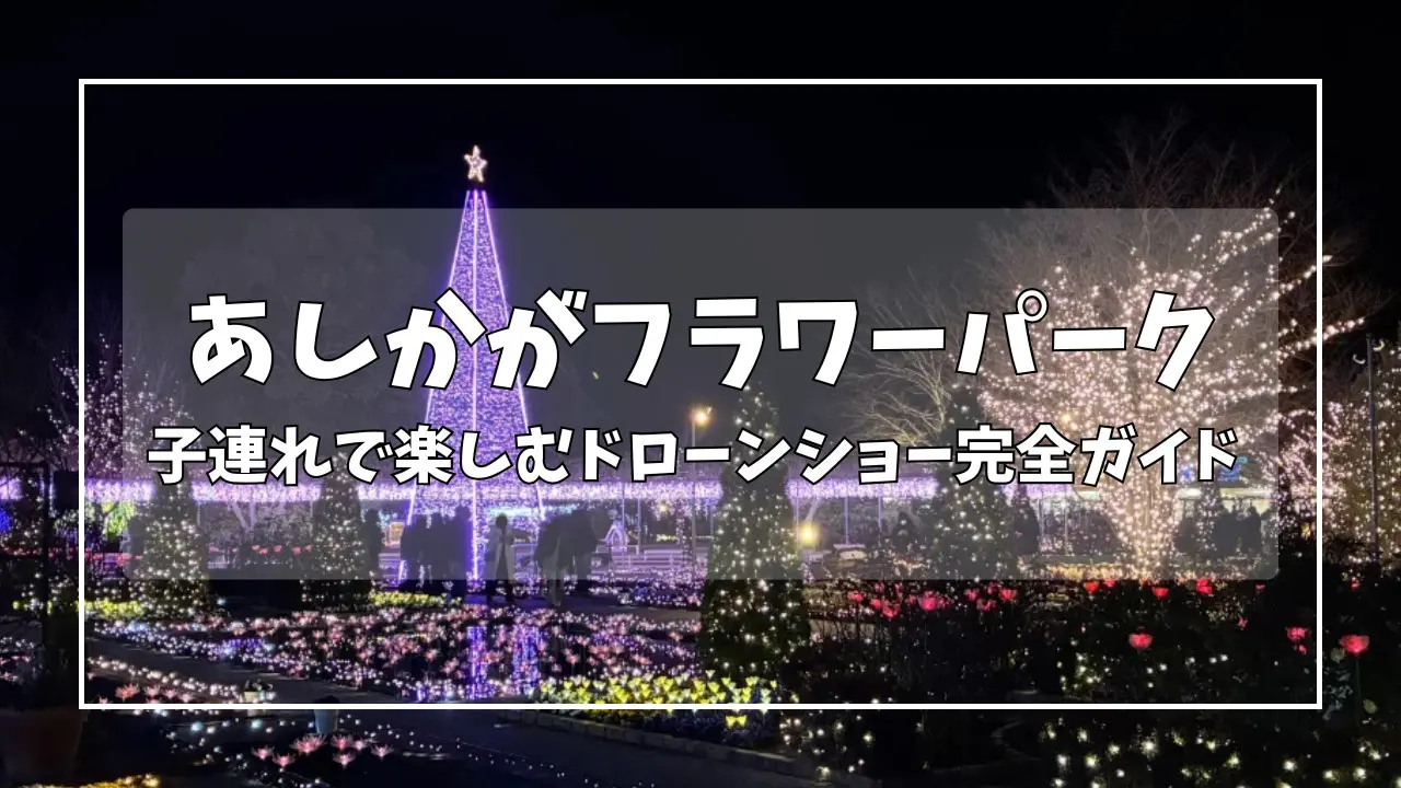 2025年最新】足利フラワーパーク イルミネーション｜ドローンショー 
