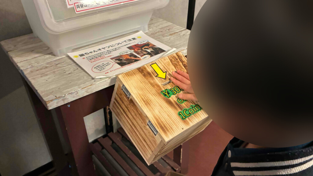 おさるランド「ねむり猫カピ屋敷」内。木製のコイン箱に300円のコインを入れている子供の手。背景に猫用おやつ代の案内がある。