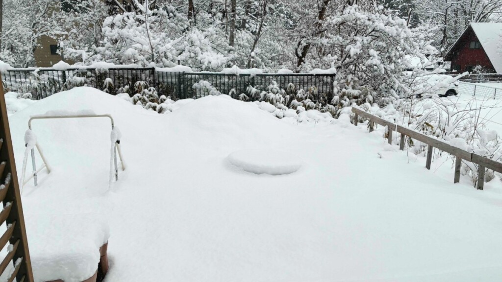 一面に真っ白な雪が深く積もった庭。左側には子供用の鉄棒が半分雪に埋もれている。