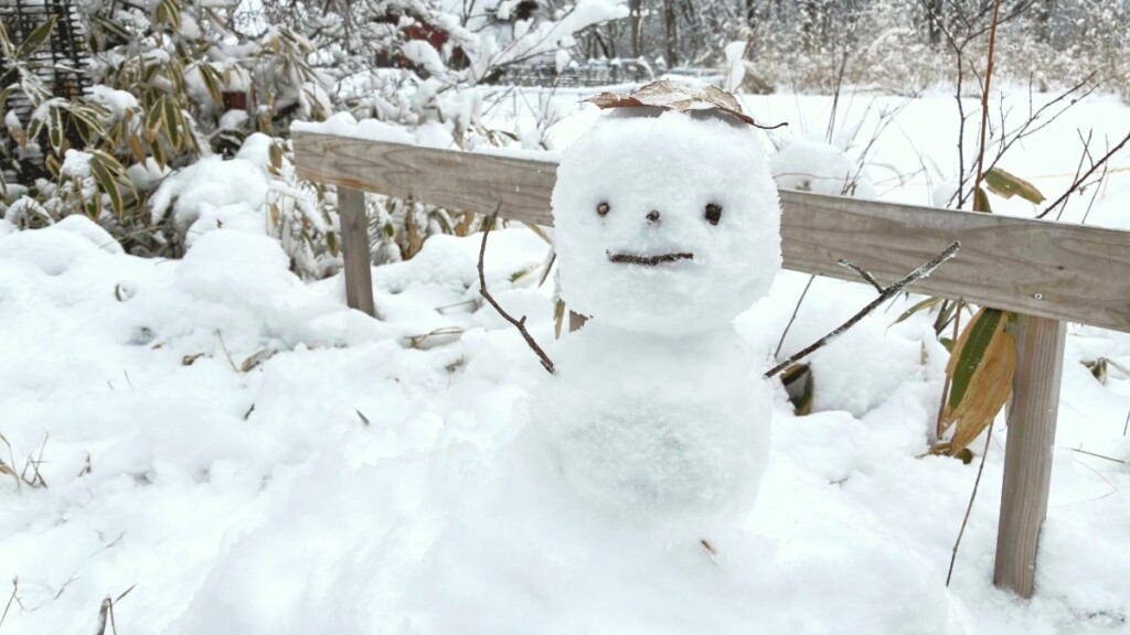 木の柵を背景に、雪の上に作られた雪だるま。頭の上に落ち葉が乗せられ、目と口には小さな木の実や小枝、両腕には細い枝が差し込まれている。